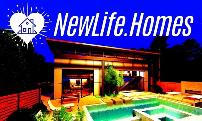 NewLife.Homes